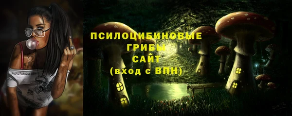 СК Армянск