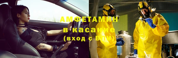прущие грибы Баксан