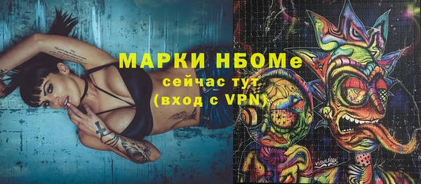 прущие грибы Баксан