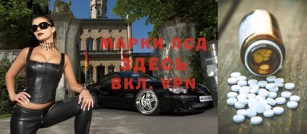 прущие грибы Баксан