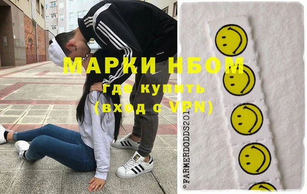 прущие грибы Баксан