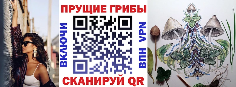 hydra онион  Бугульма  Галлюциногенные грибы Psilocybe  цены наркотик 